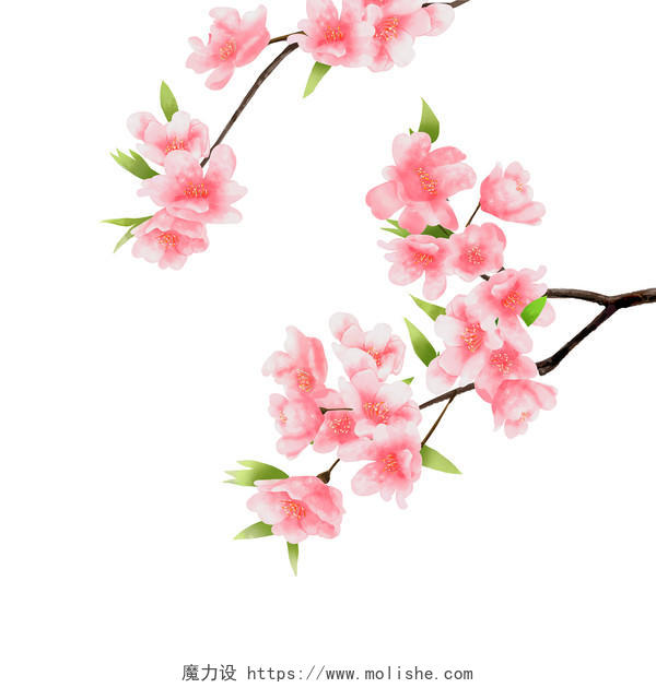 春天 春分手绘写实风桃花花朵花枝原创花卉素材
